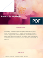 Prueba de Hipotesis 1