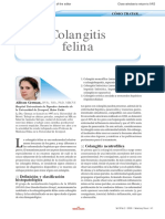coliangitis felina.pdf