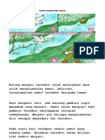 Cerita Merpati Dan Semut