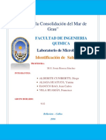 Informe Nº9 Superficies Vivas