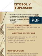 Citosol y Citoplasma