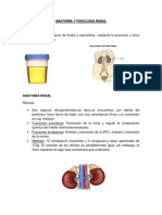 Anatomía y Fisiología Renal