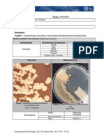 Hongos, Actinobacteriasylevaduras PDF