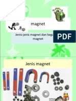 Magnet