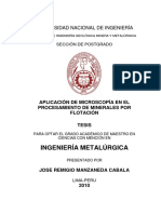 manzaneda_cj.pdf