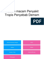 Macam-Macam Penyakit Tropis Penyebab Demam