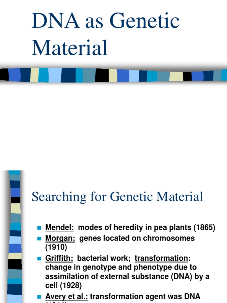 DNA Structure and Function Overview | PDF | Dna Replication ...