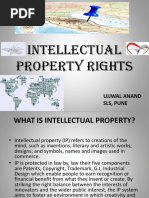 Intellectual Property Rights