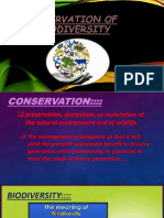 Conservation of Biodiversity