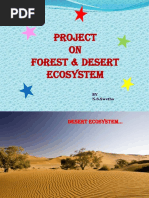 Project ON Forest & Desert Ecosystem: BY N.S.Swetha