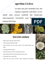Pengertian Lichen