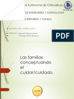 La Familia Conceptuando El Cuidar/cuidado