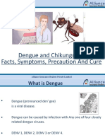 Dengue & Chikungunia