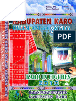 11karo Dalam Angka 2010 PDF