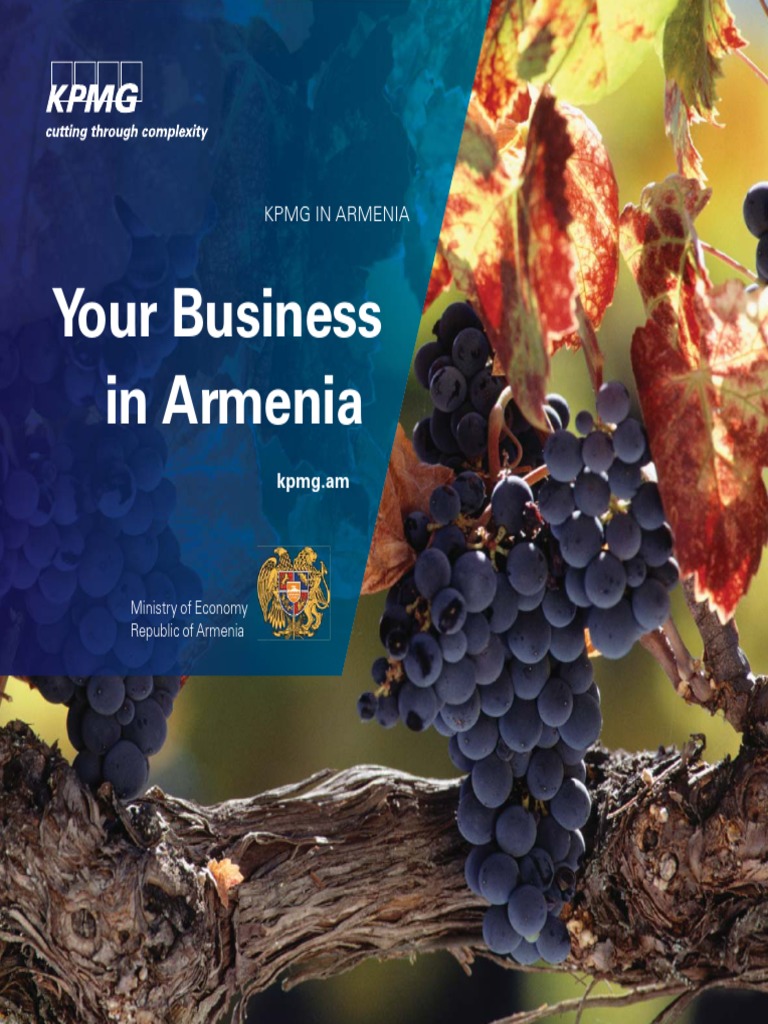 Your Business in Armenia PDF Tax Value Added Tax