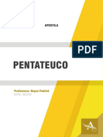 Pentateuco - Nayra Pedrini - Apostila Medio PDF