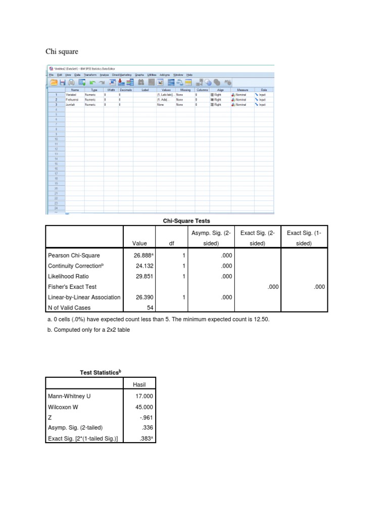 Chi Square | PDF