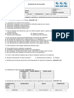 Ok. Primer Quiz 8° Ii Periodo