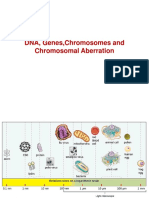 2. DNA, Gene, Chromosome and Chromosomal Aberration.pdf