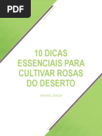 10 Dicas Essenciais Para Cultivar Rosas Do Deserto