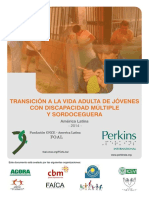 Transicion Vida Adulta Disca Mult PDF