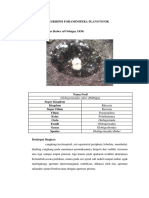 Deskripsi Foraminifera Plangtonik Fix