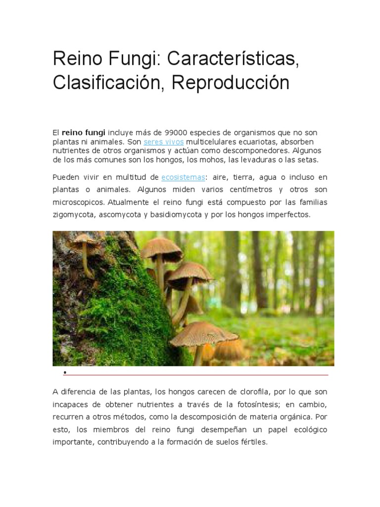 Reino Fungi Características, Clasificación, Reproducción