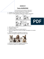 Tarea Junior II