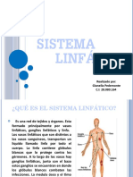 Sistema linfático: funciones y patologías