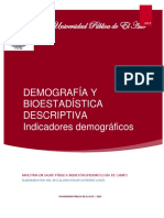 Texto Indicadores Demográficos