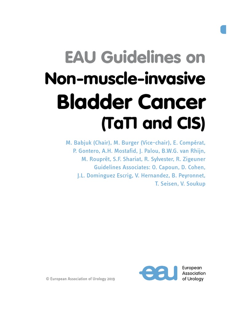 Non Muscle Invasive Bladder Cancer - EAU Full Guidelines 2019 | PDF ...