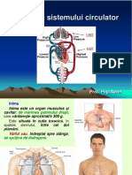 lectie_23_anatomia_sistemului_circulator..ppt