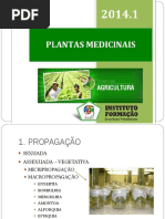 07 25 49 Aula2 Plantasmedicinais