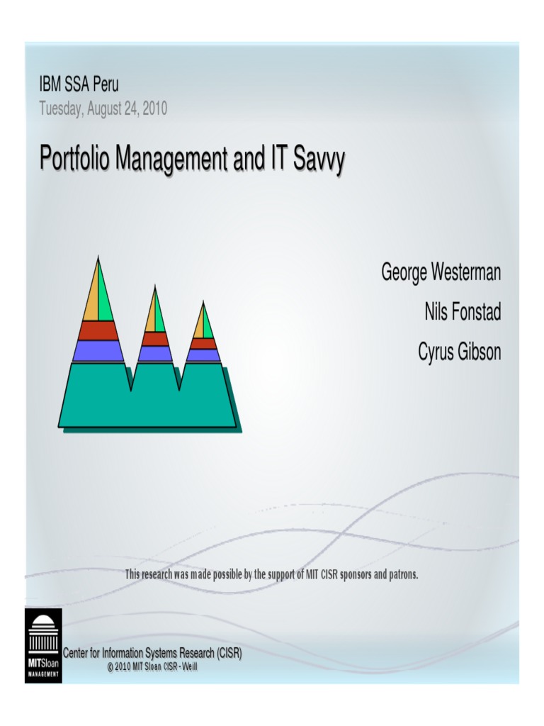 IT Portfolio Management Insights 2010 | PDF | Information System ...