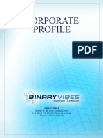 binary-vibes-corporate-profile.pdf