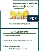Produção de pintos, frangos e ovos comerciais