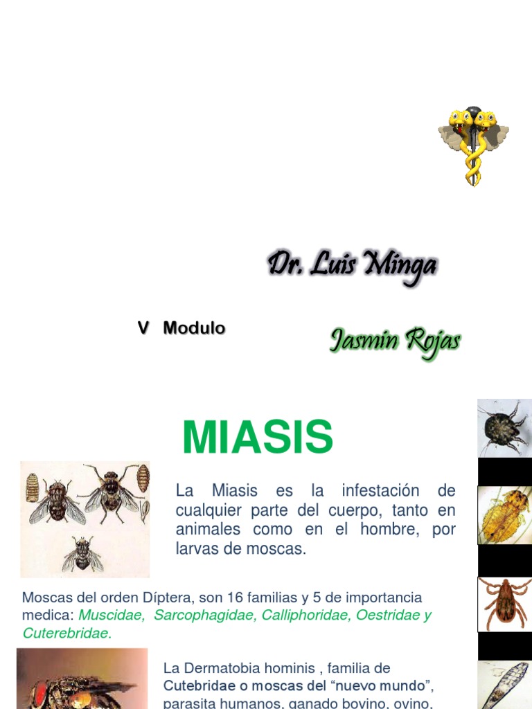 Tratamiento de Miasis y Larva Migrans | PDF | Especialidades Medicas ...
