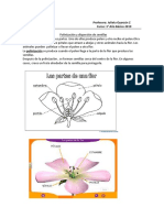 Polinizacion y Dispersion de Semillas