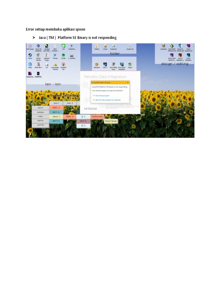Spoon Pentaho Data Integration PDF