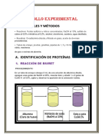 Desarrollo experimental: Identificación de proteínas y lípidos