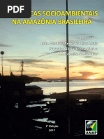 dinamicas socioambientais na amazonia_brasileira.pdf