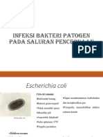 372692408 Bakteri Penyebab Infeksi Pada Saluran Gastrointestinal Pptx