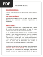 TRANSPORTE CELULAR.docx