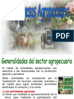 Contabilidad Agropecuaria