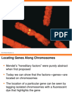 Bio 201 Chapter 15