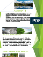 Medio Ambiente