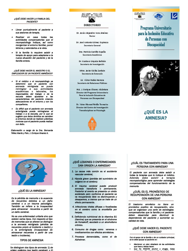 Que Es La Amnesia Amnesia Medicina CLINICA