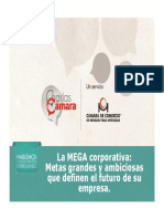 Presentación HBPE MEGA Camaramed.pdf