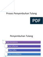 Proses Penyembuhan Tulang.pptx