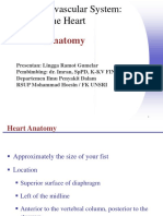 The Cardiovascular System: The Heart: Anatomy